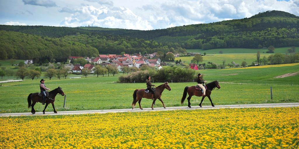Landhotel Zur Gruenen Kutte Bernshausen Eksteriør billede
